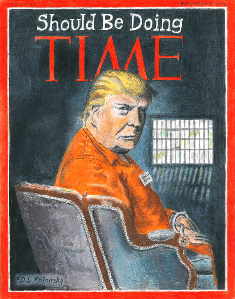 Parody of Donald Trump Time Magazine Person of the Year Cover, 2016