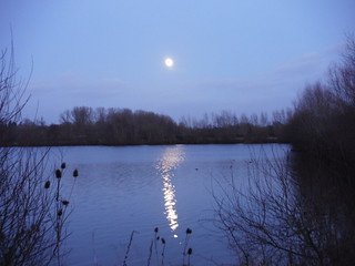 The Moon is Up, Lake in Woolhampton SWC Walk 34 Newbury Racecourse to Woolhampton (Midgham Station)