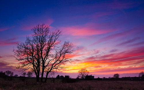 uk sunset sky tree nature landscape nikon afterglow marketrasen d7000