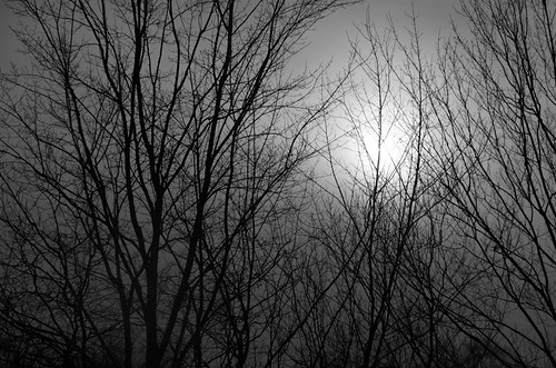 winter ohio sky sun white black tree nature monochrome silhouette clouds blackwhite nikon glow bare branches monotone nikkor wintersville 18200mmlens d7000 truebritgal