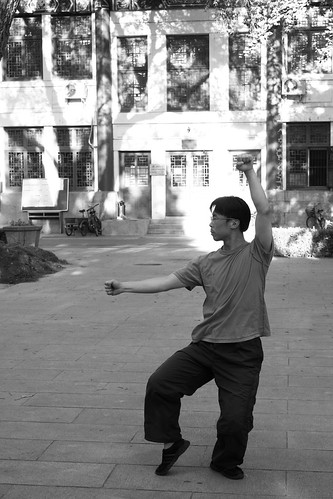 Kungfu exercices