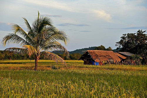 Don Khong Island