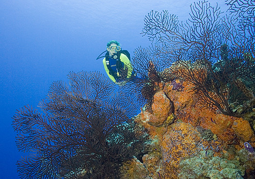 bahamas