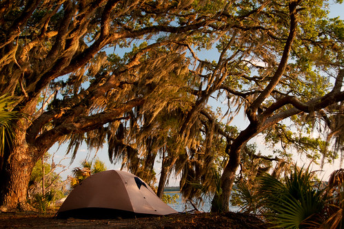 camping ga georgia coast windy tent liveoak spanishmoss campsite tentsite barrierisland cumberlandislandnationalseashore