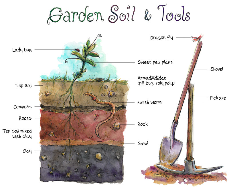 Preparing My Garden S Soil For Planting It S Been Ten Year Flickr