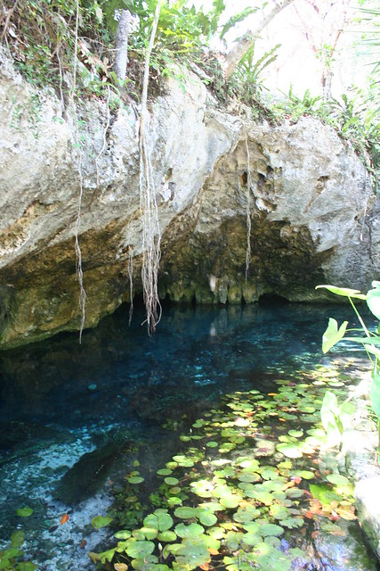 2012-04-29_Mexique-Tulum-Gran cenotes (6)