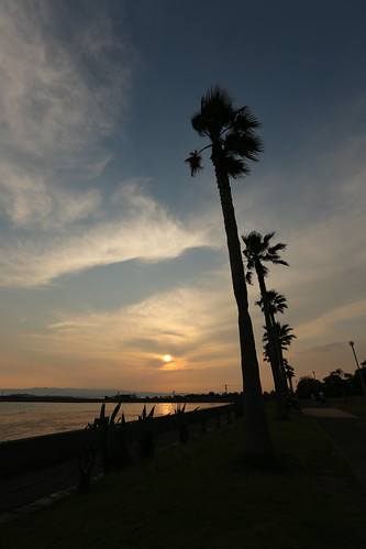 IMG_8705 by kazuend,