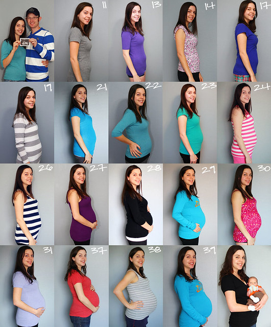 baby bump collage
