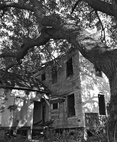 bw house tree abandoned oak alabama gimp bn dauphinisland 17mm zd olympusep1