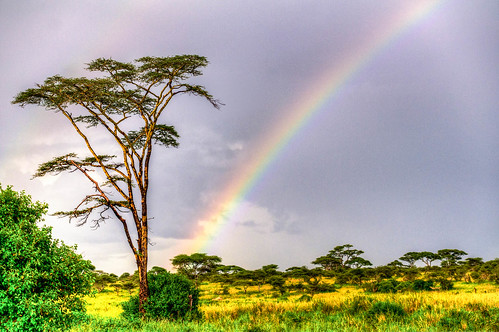 tanzania rainbow mara hdr hdri naturelandscape