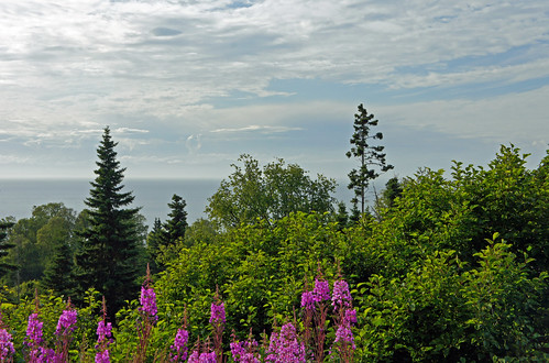 2011 alaska usa color landscape nature sea village