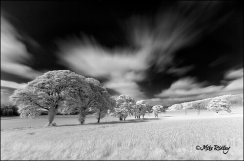 Infrared test shots with Hoya R72 IR filter by Mike Ridley.