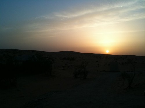 IMG_6219 by sagipolley, 