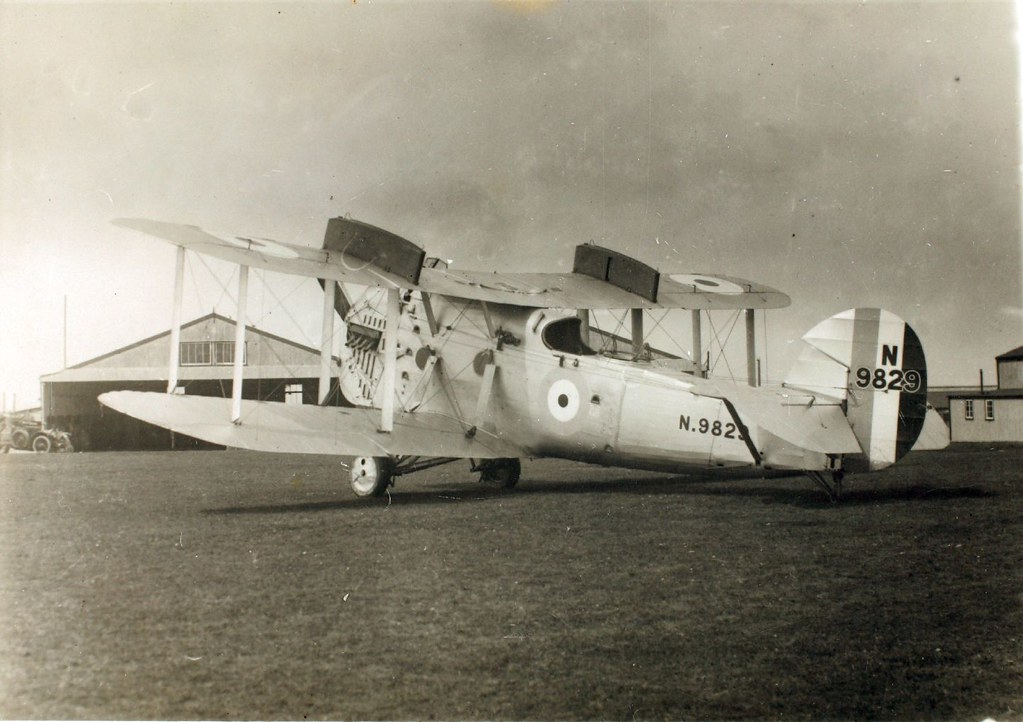 Frederick Newman Collection