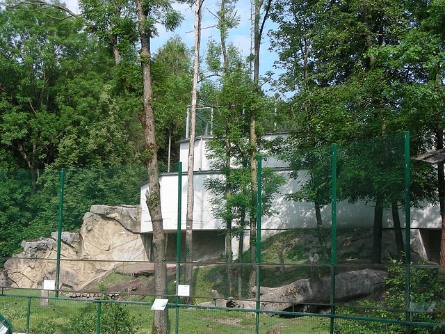 Zoo Schmiding: Gorilla outdoor enclosure
