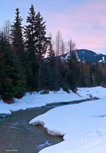 morning trees winter sky snow water clouds sunrise landscape whistler britishcolumbia pines creeks