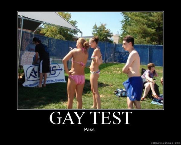 Gay test the Sexual Orientation