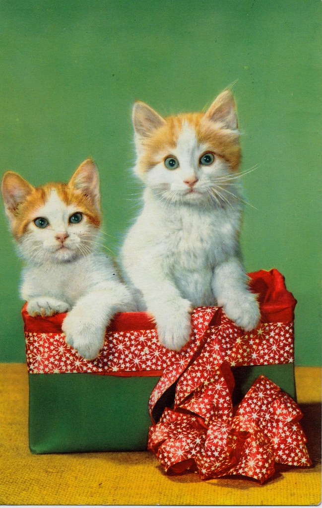 Poesje Rode pc. poesjes groen-rood 1957 | janwillemsen | Flickr