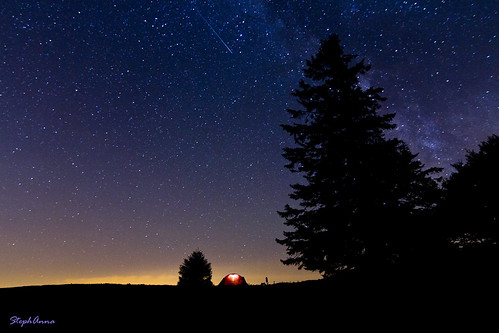 night skys stars long exposure sunrise tree badge stephanna bivouac biwac