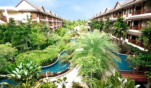 Kata Palm