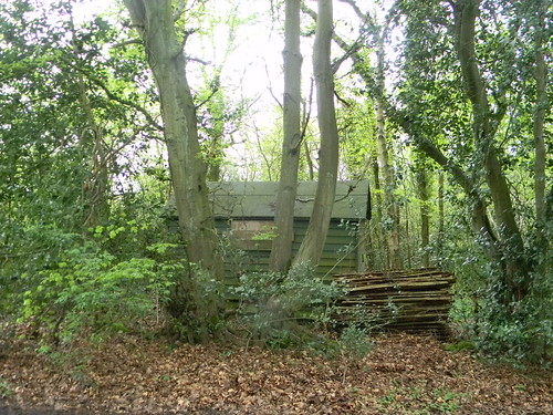 Shed in the woods Wendover Circular via Lee