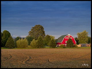 Arlington Farm