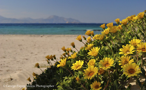travel flowers sea sky mountains beach nature colors landscape island spring kos greece