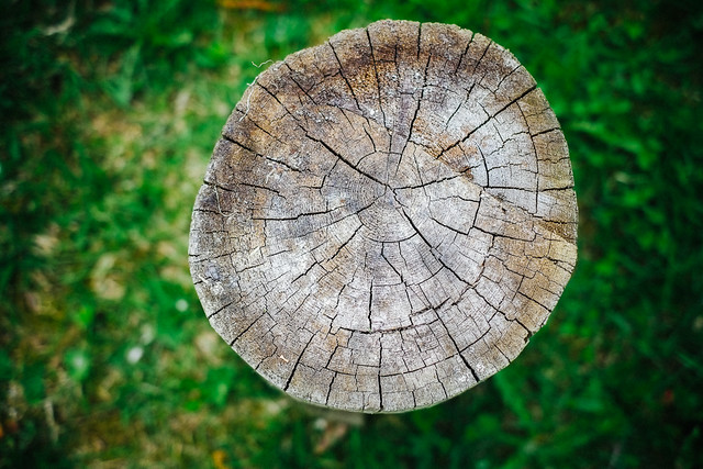 A stump