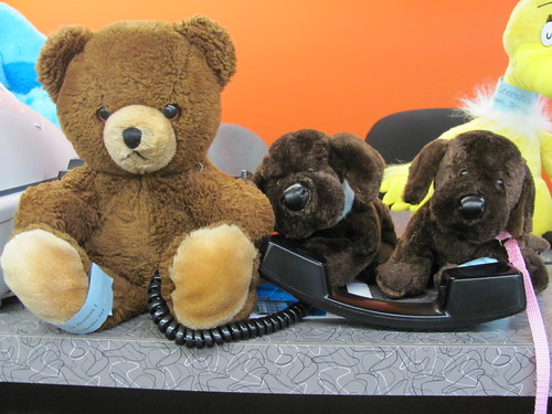 Stuffed Animal Sleepover | by tippcitylibrary