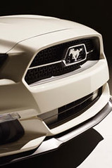 Ford-2015-Mustang-50th-Ed-18