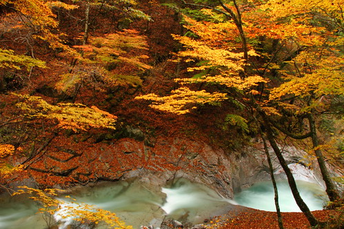 autumn japan asia autumnleaves valley nippon nihon yamanashi nishizawa