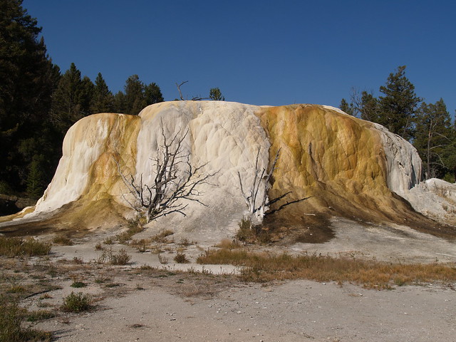Yellowstone - Orange Spring Mound
