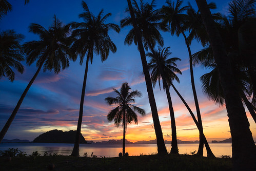 travel sunset holiday beach palms landscape asia angle philippines wide palm