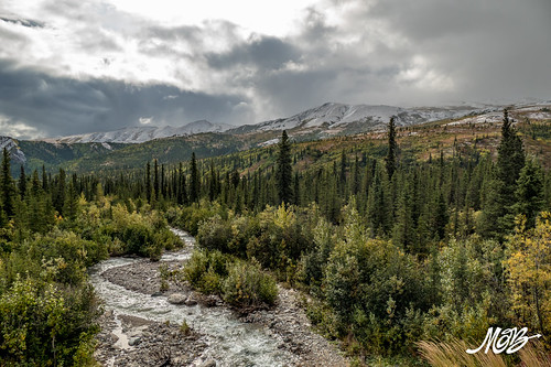 Denali NP, Alaska