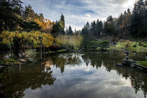seattle autumn reflection garden japanese washington place events arboretum arboretum201511150048
