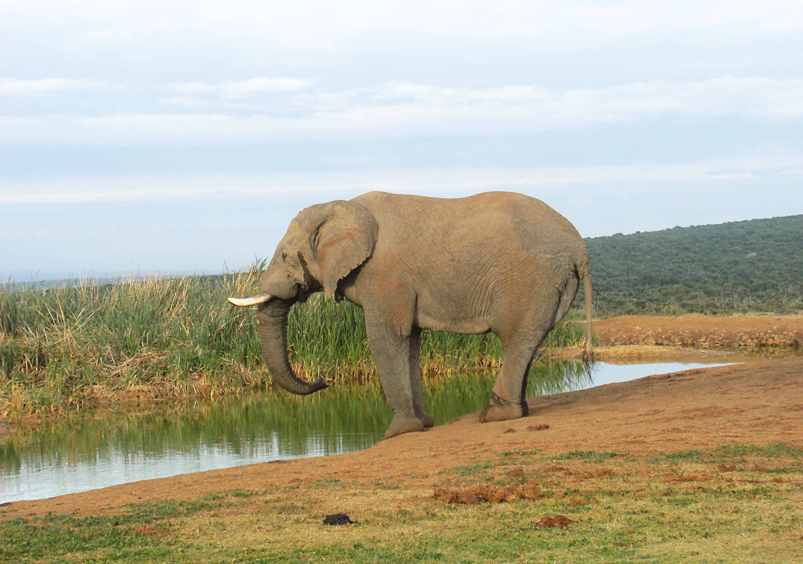 Addo National Park