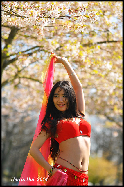 Dancing Under The Cherry Blossoms - Belly Dance N14628e