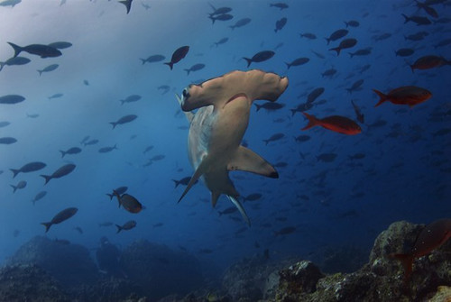 Lombok