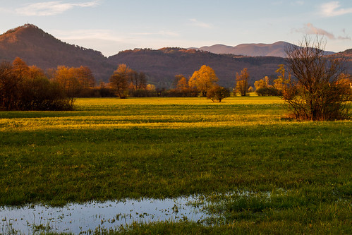 morning sunrise puddle meadow slovenia slovenija filed planina