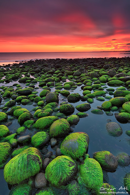 Green Rocks - Hvaleyri in Hafnarfjörður, Iceland