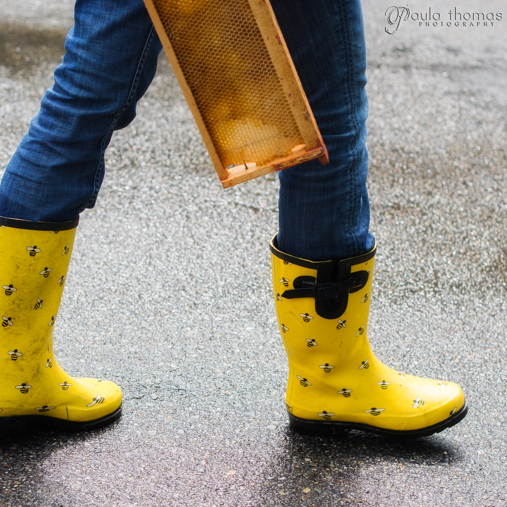 Bee Boots | Krista's cute bee boots. I can't believe I live … | Flickr