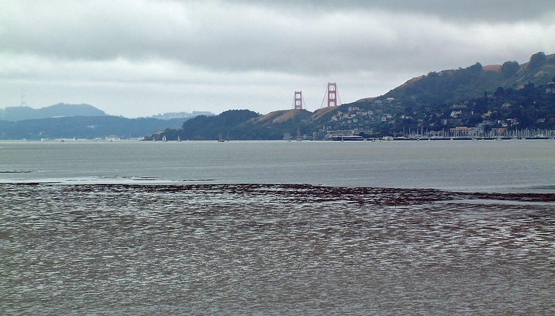 Golden Gate from Belvedere