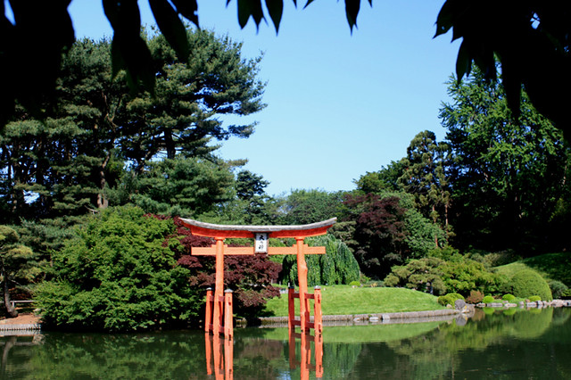 Japanese Hill-and-Pond Garden