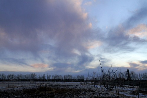 Cow pasture watercolor sky by John Andersen (JPAndersen images), winter clouds landscape purple alberta jpandersenimages