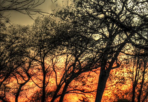 Sunset by Ted_Fitzgerald,