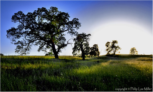 california sunset nature grass landscape rollinghills oaktrees arastraderopreserve d7000 magicunicornverybest galleryoffantasticshots