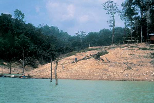 Lago di Temenggor