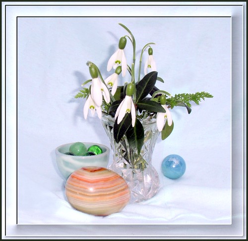Snowdrop comp | by edenseekr