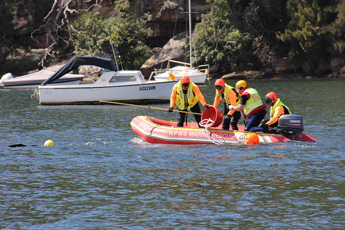 Whale distentanglement training_290312_515 | by OEHmedia