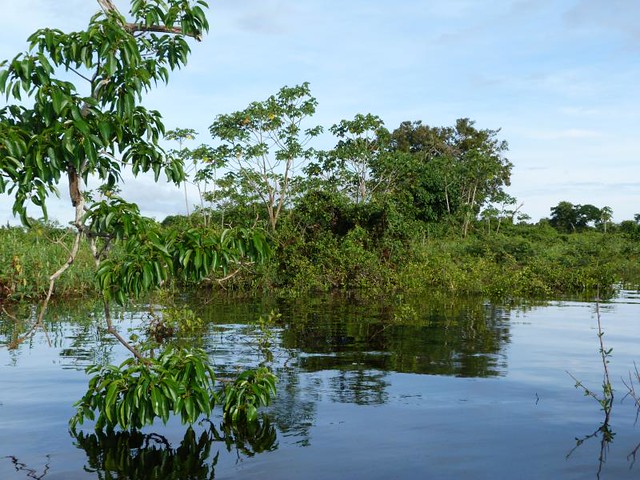 Pantanal (Brasil)